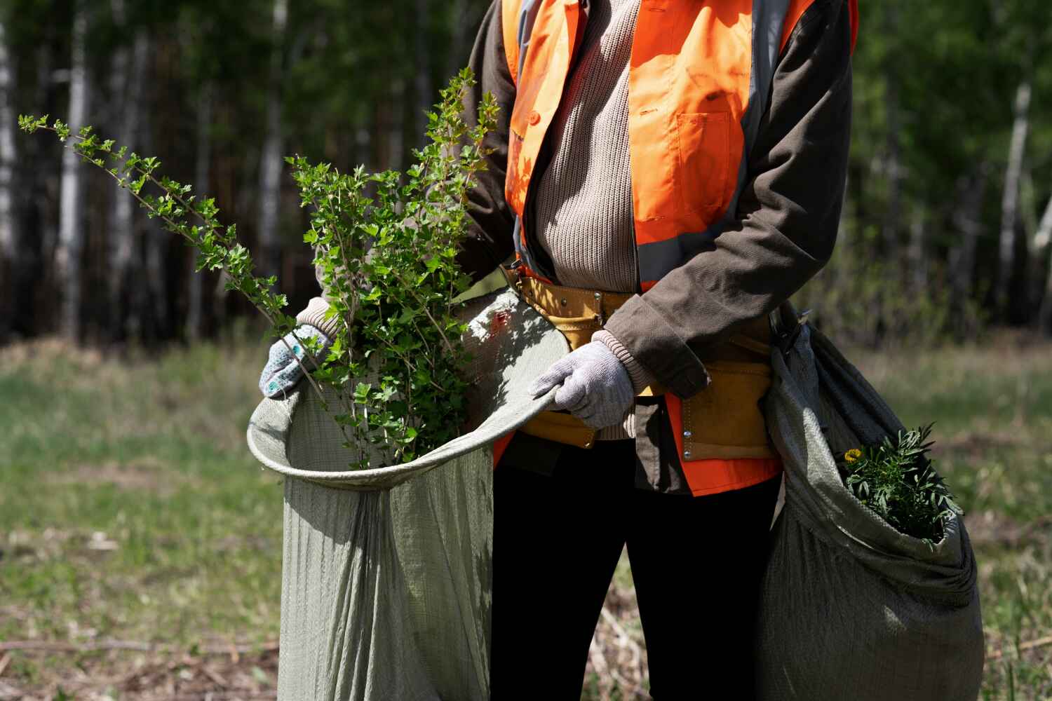 Best Tree Stump Removal  in West Vero Corridor, FL